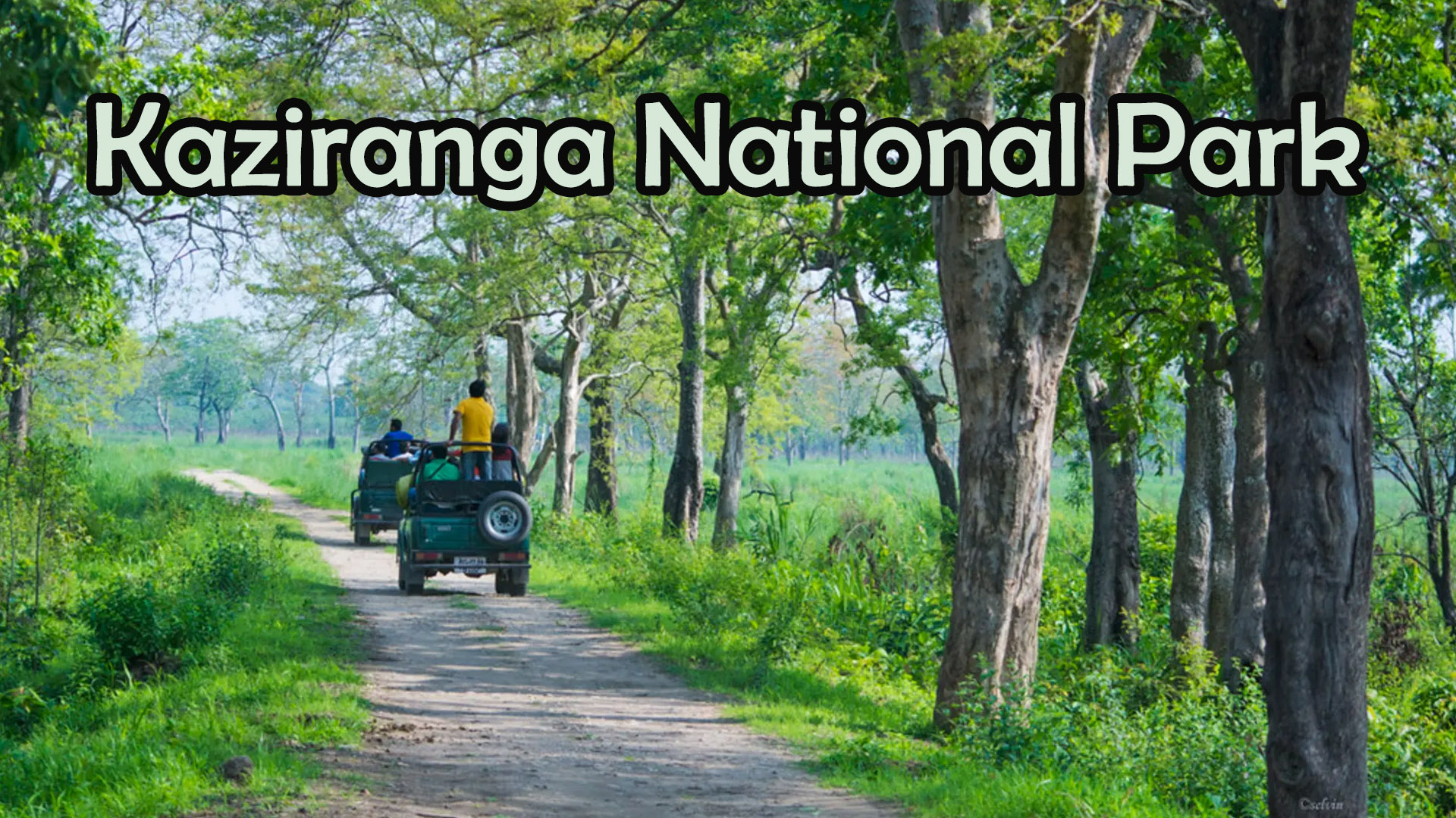 KazirangaNationalPark